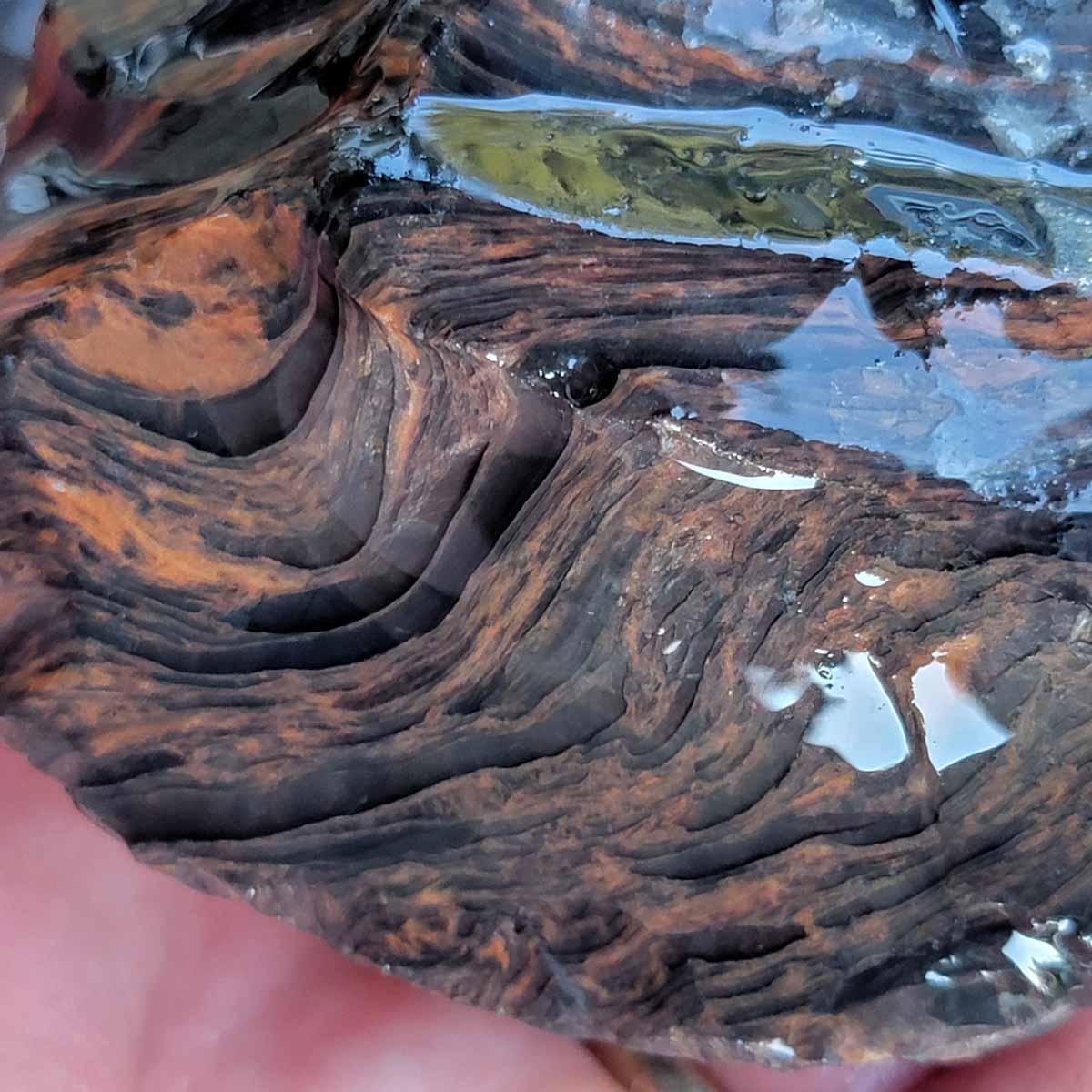 Tri-Flow Mix Old Stock Oregon Obsidian Rough Flatrate! - LapidaryCentral