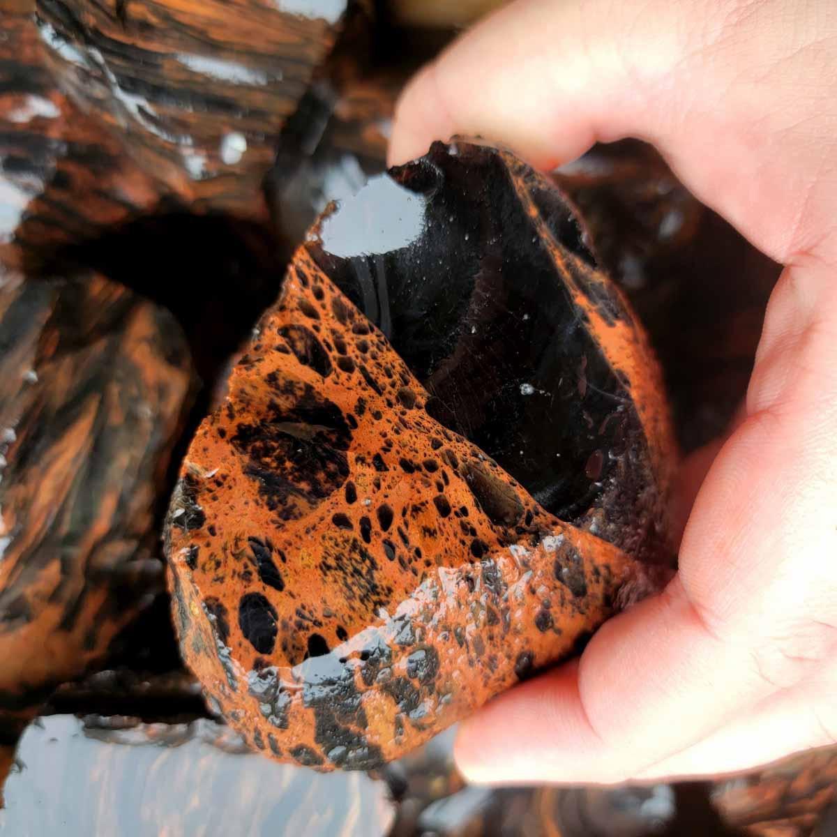 Tri-Flow Mix Old Stock Oregon Obsidian Rough Flatrate! - Lapidary Central