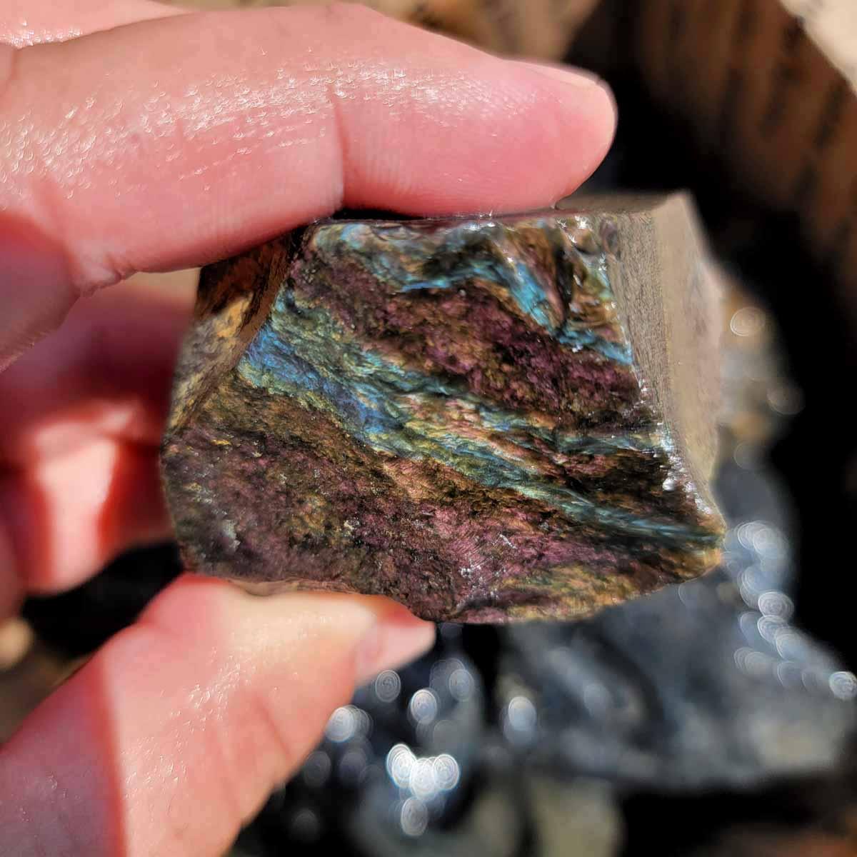 Jaw Dropping Velvet Obsidian Rough Flatrate! - Lapidary Central