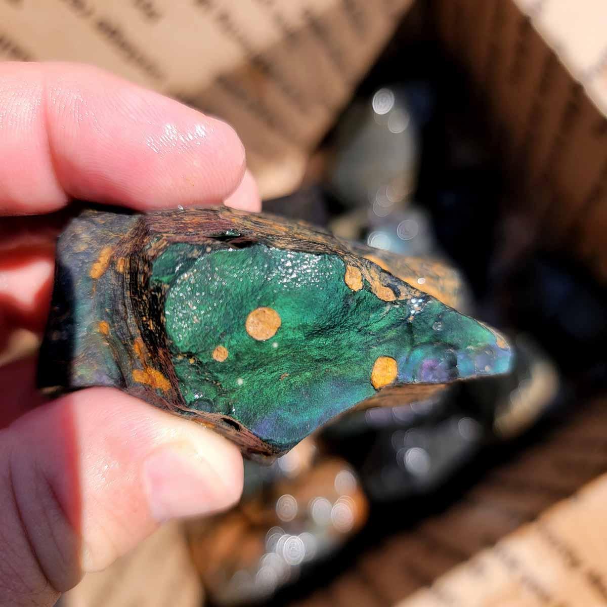 Jaw Dropping Velvet Obsidian Rough Flatrate! - Lapidary Central