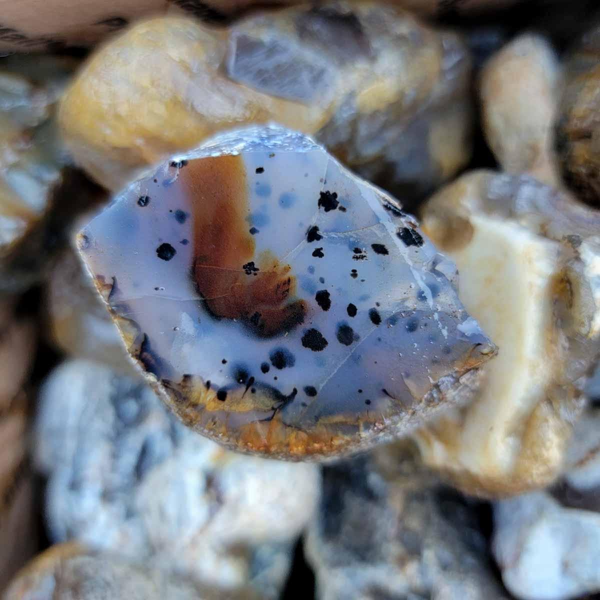 Rare Old Stock Montana Agate Rough Flatrate! - Lapidary Central