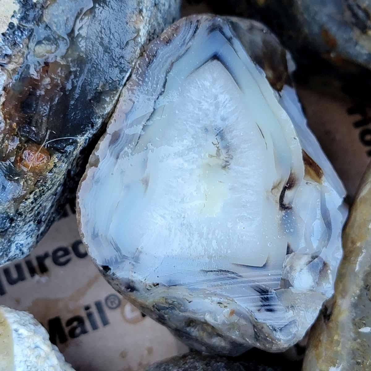 Rare Old Stock Montana Agate Rough Flatrate! - Lapidary Central