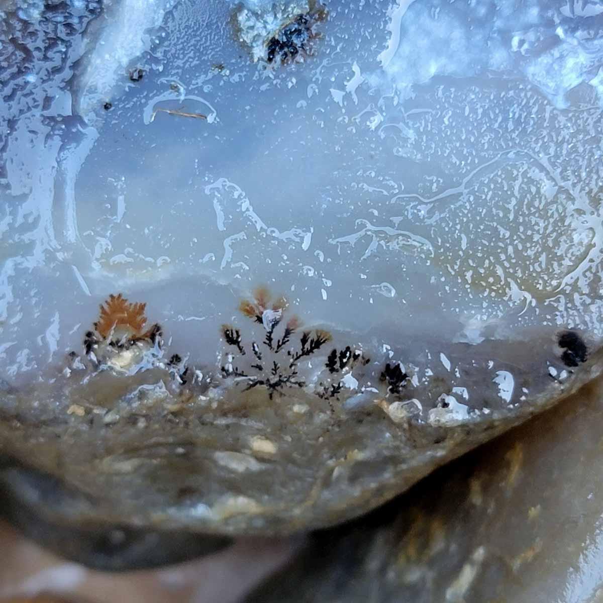 Rare Old Stock Montana Agate Rough Flatrate! - Lapidary Central