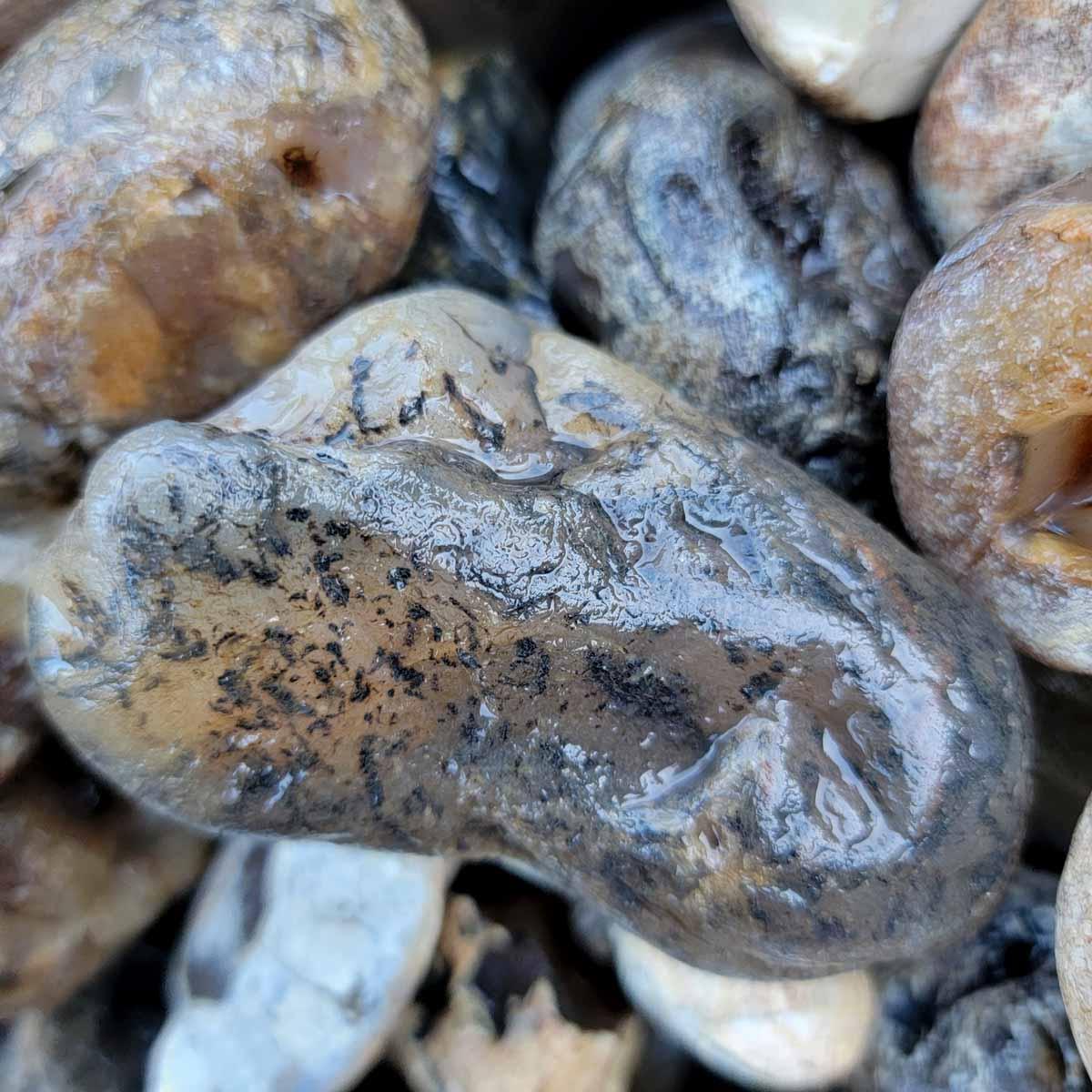 Rare Old Stock Montana Agate Rough Flatrate! - Lapidary Central