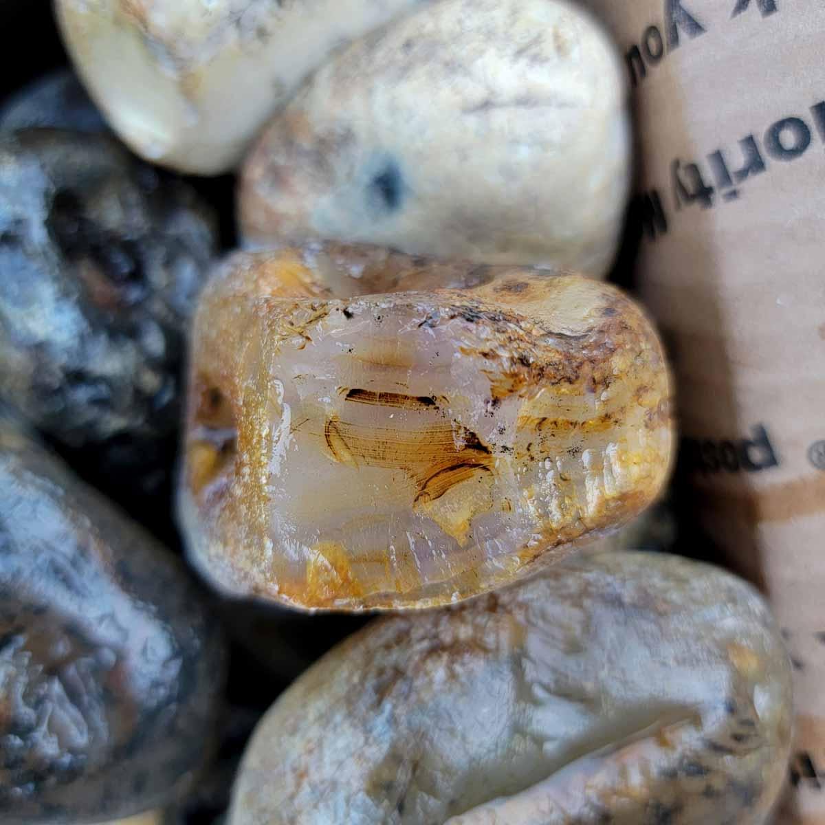 Rare Old Stock Montana Agate Rough Flatrate! - Lapidary Central