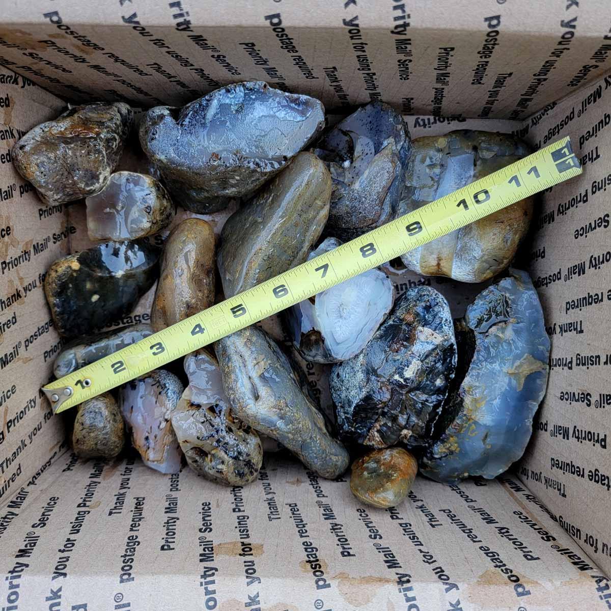 Rare Old Stock Montana Agate Rough Flatrate! - Lapidary Central