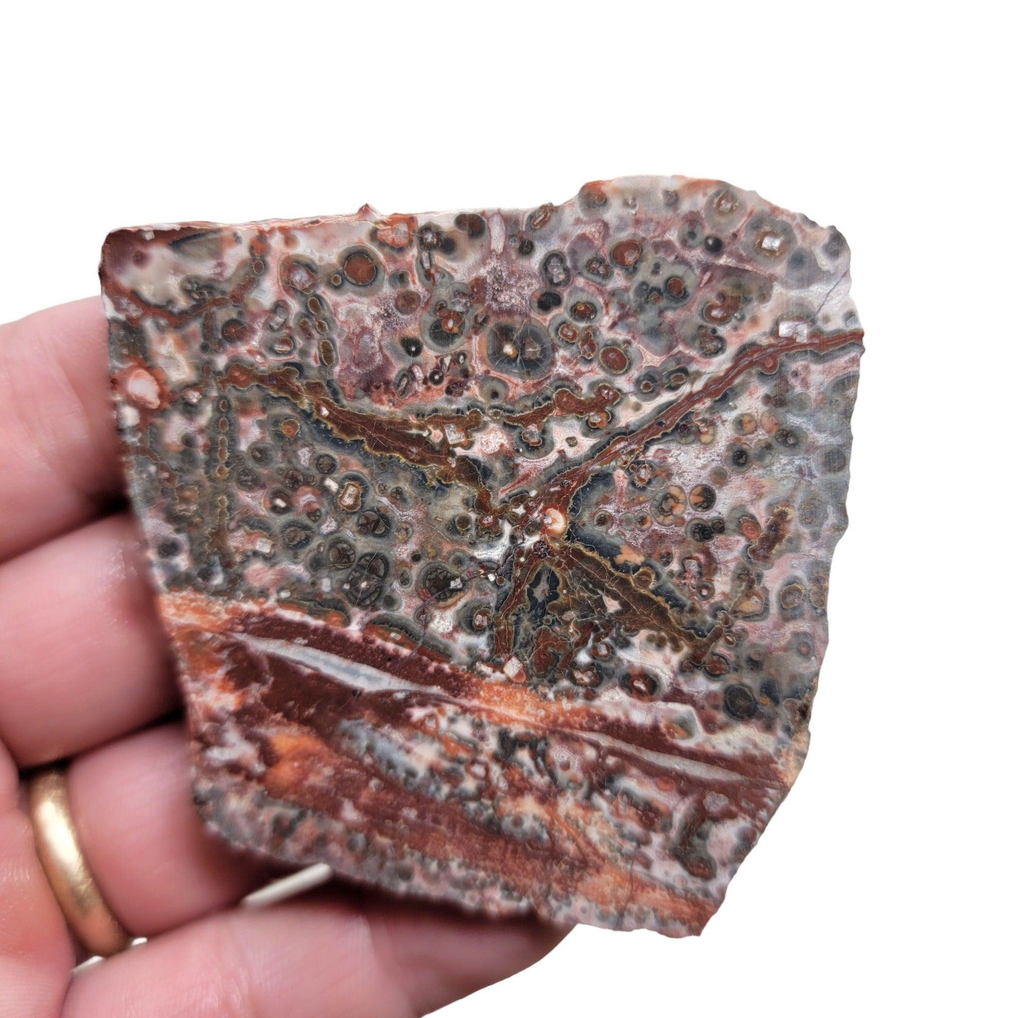 Leopard Skin Rhyolite Slab! Lapidary Stone Slab! - Lapidary Central