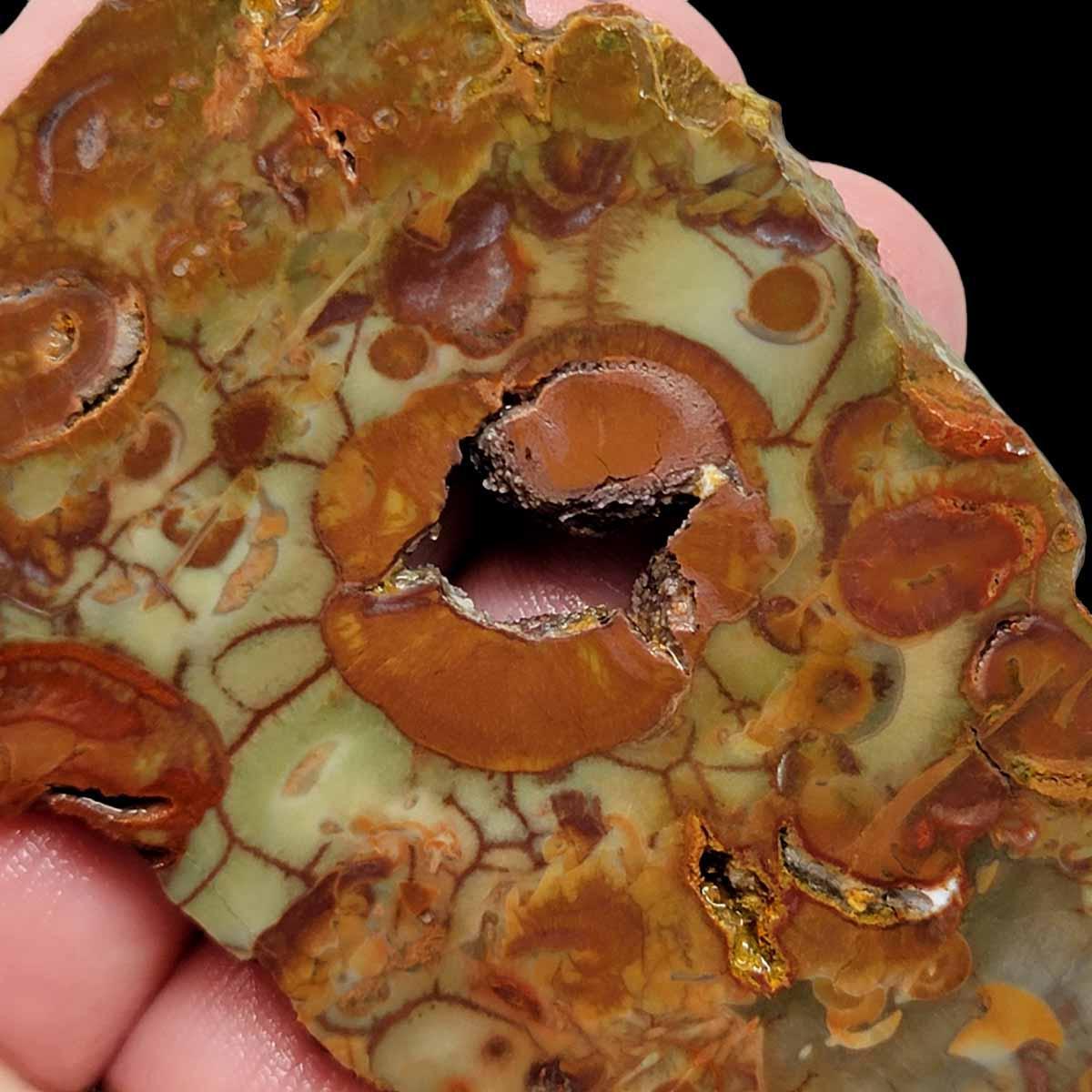 Old Stock Lily Pad Jasper Slab!  Lapidary Stone Slab! - LapidaryCentral