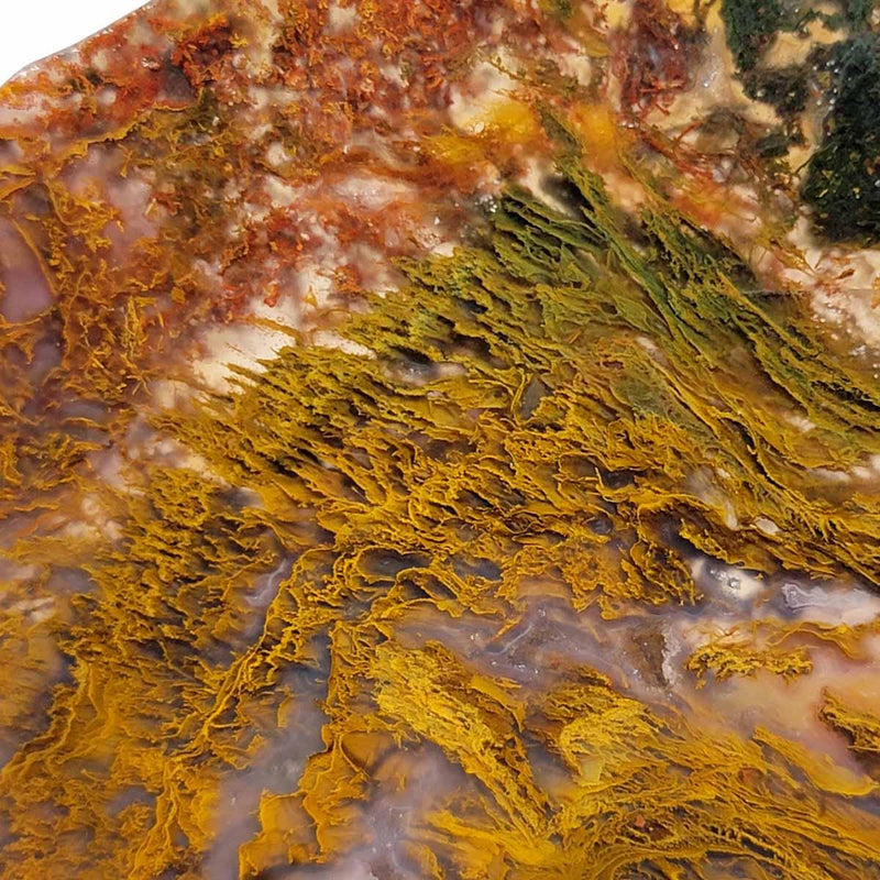 Maury Mountain Moss Agate Slab!  Lapidary Stone Slab! - LapidaryCentral