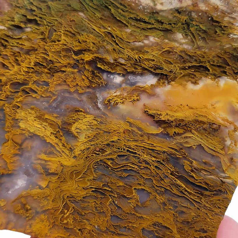 Maury Mountain Moss Agate Slab!  Lapidary Stone Slab! - LapidaryCentral