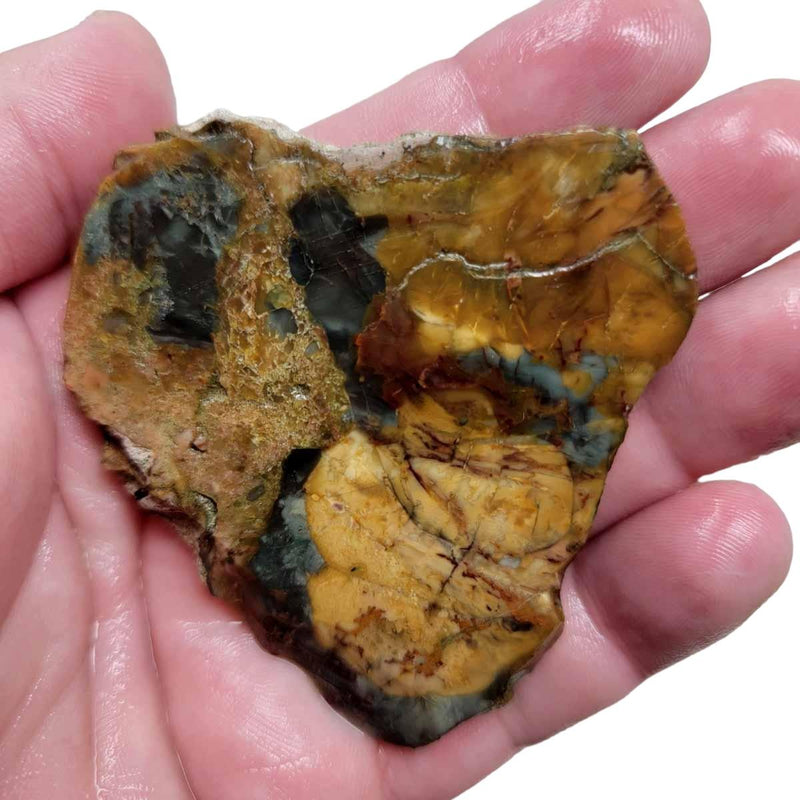 Morrisonite Jasper Slab! Lapidary Stone Slab! - Lapidary Central
