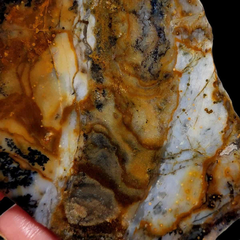 Ochoco Sunset Agate Slab!  Lapidary Stone Slab! - LapidaryCentral