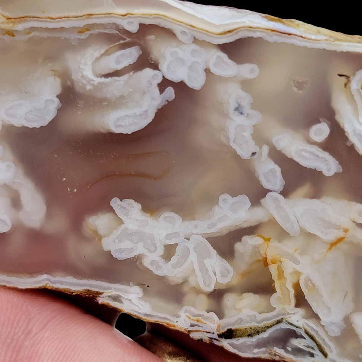 Ochoco Tube Agate Slab!  Lapidary Stone Slab! - LapidaryCentral