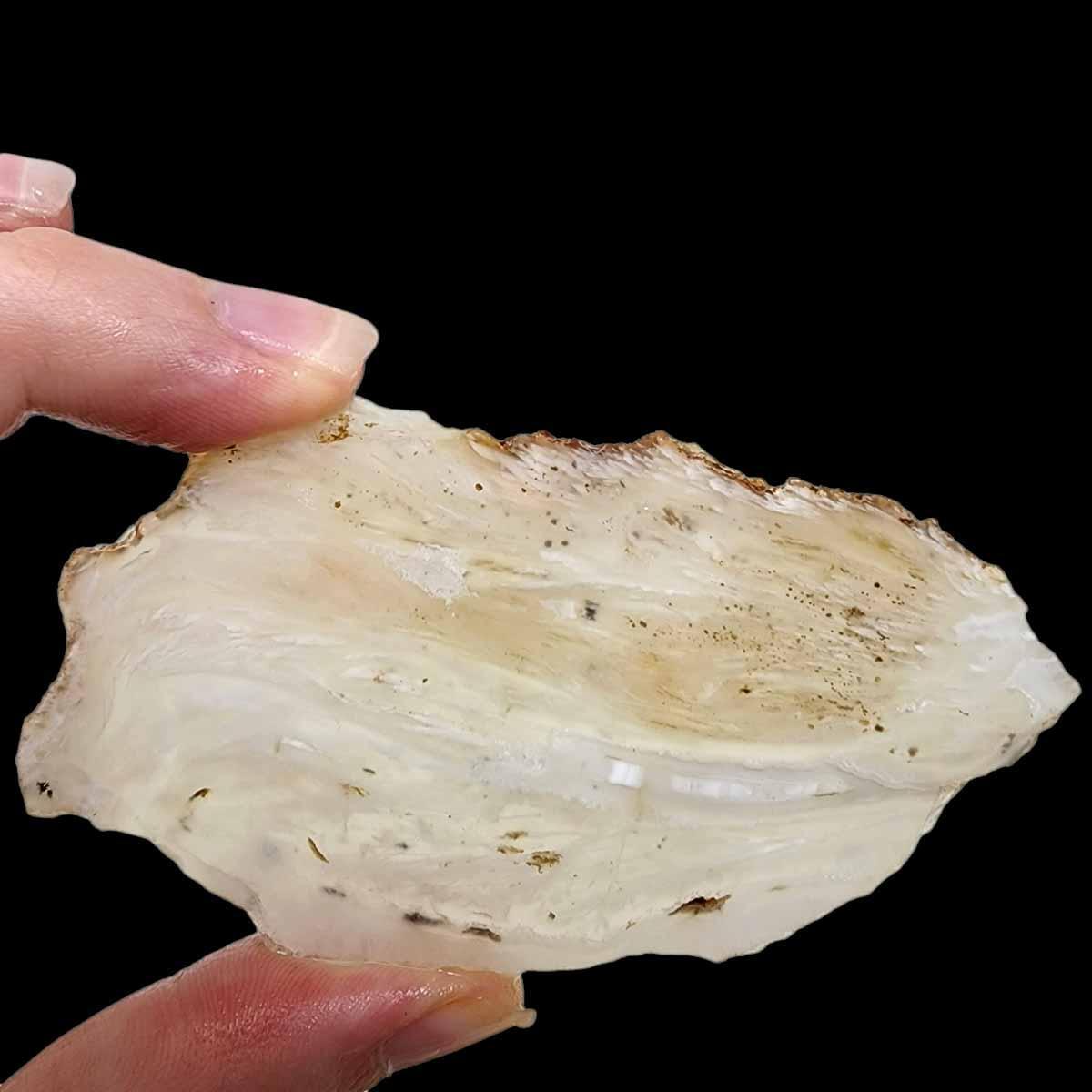 Ochoco Tube Agate Slab!  Lapidary Stone Slab! - LapidaryCentral