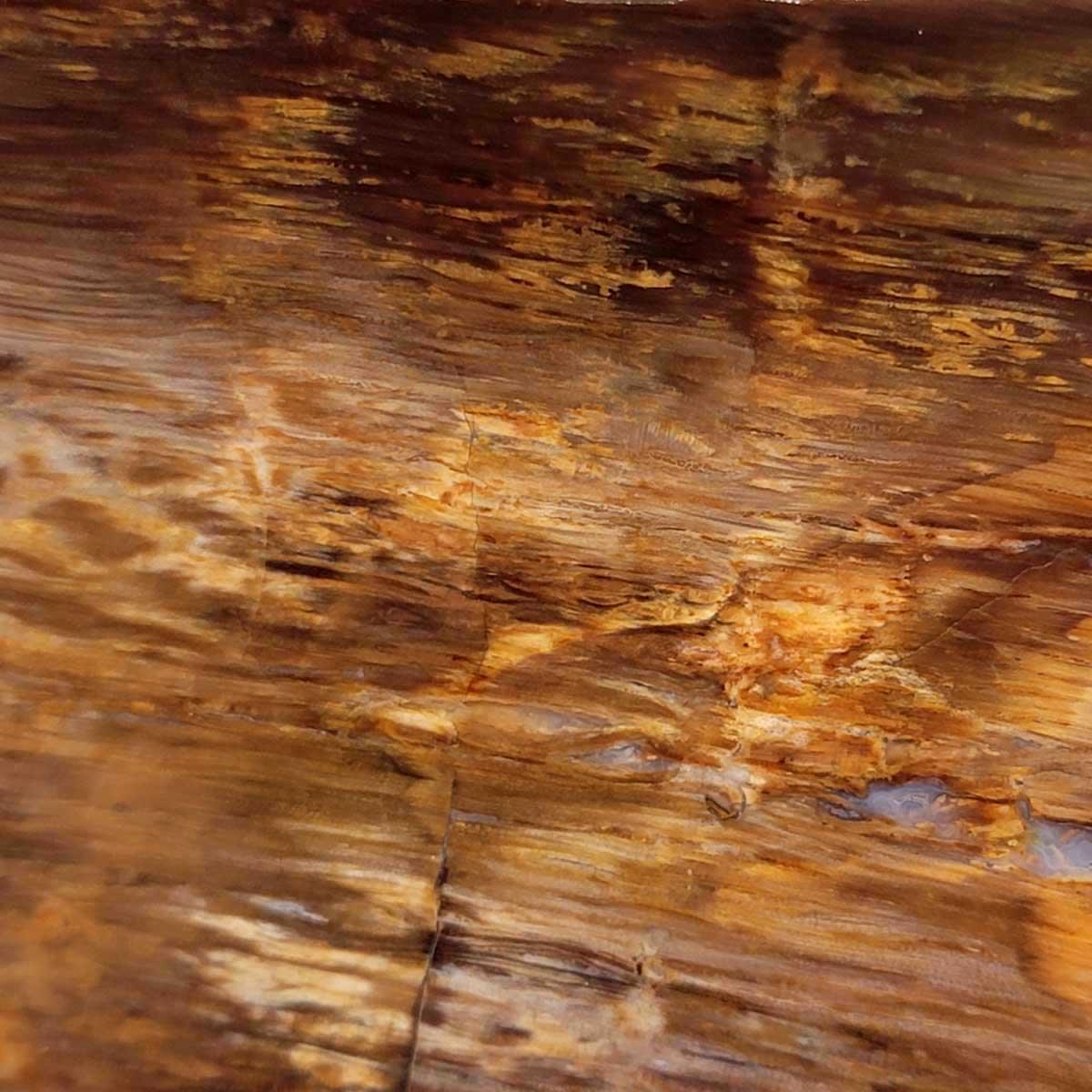 Old Stock Petrified Wood Slab!  Lapidary Stone Slab! - LapidaryCentral