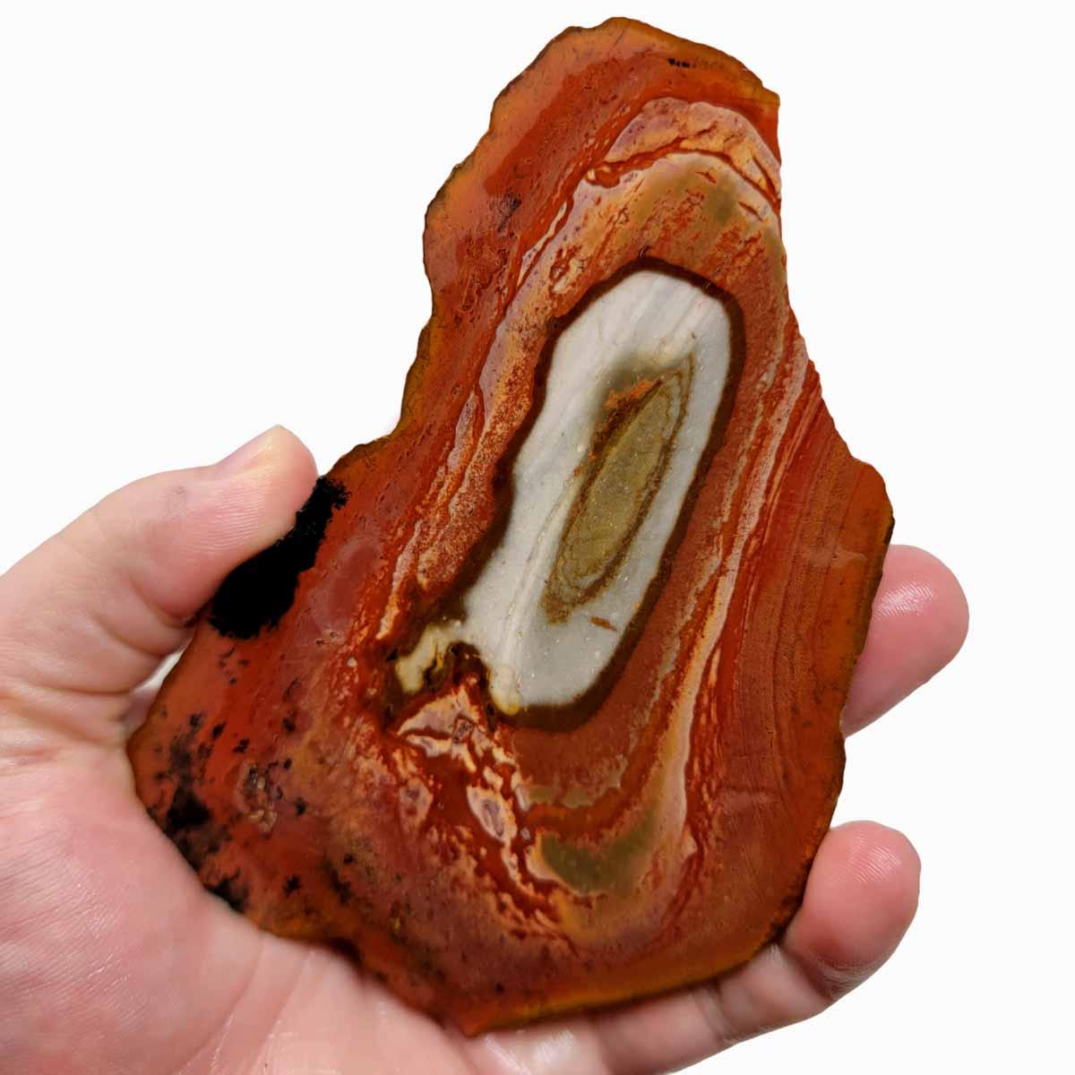 Polychrome Jasper Lapidary Stone Slab!  Desert Jasper Slab! - LapidaryCentral