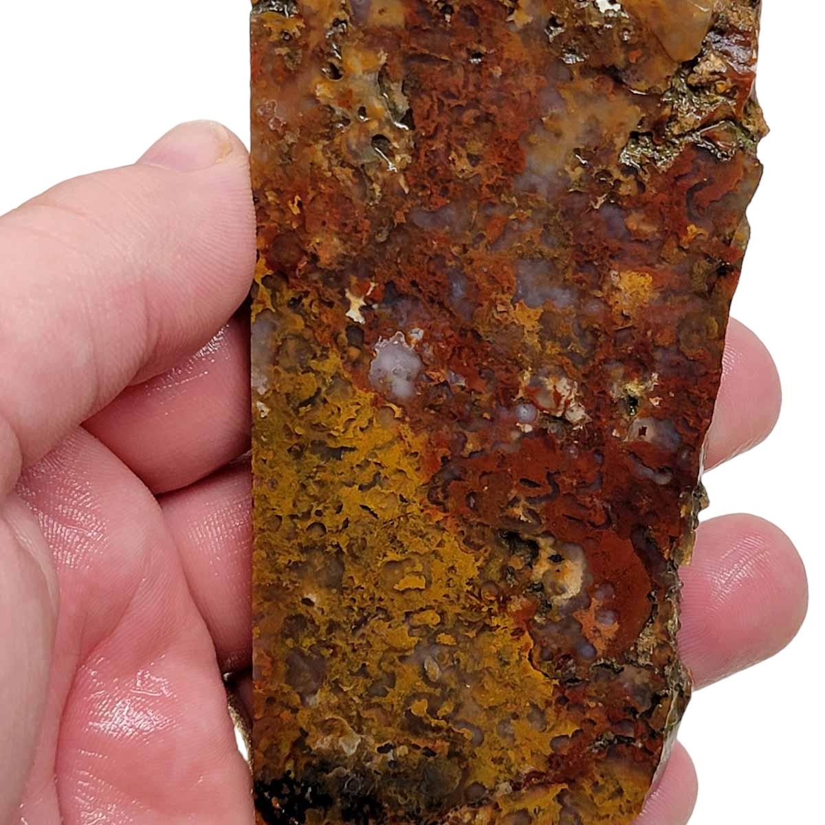 Powell Butte Plume Agate Slab! Lapidary Stone Slab! - Lapidary Central