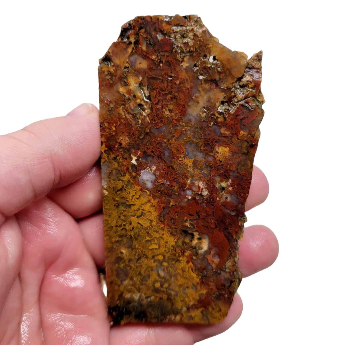 Powell Butte Plume Agate Slab! Lapidary Stone Slab! - Lapidary Central