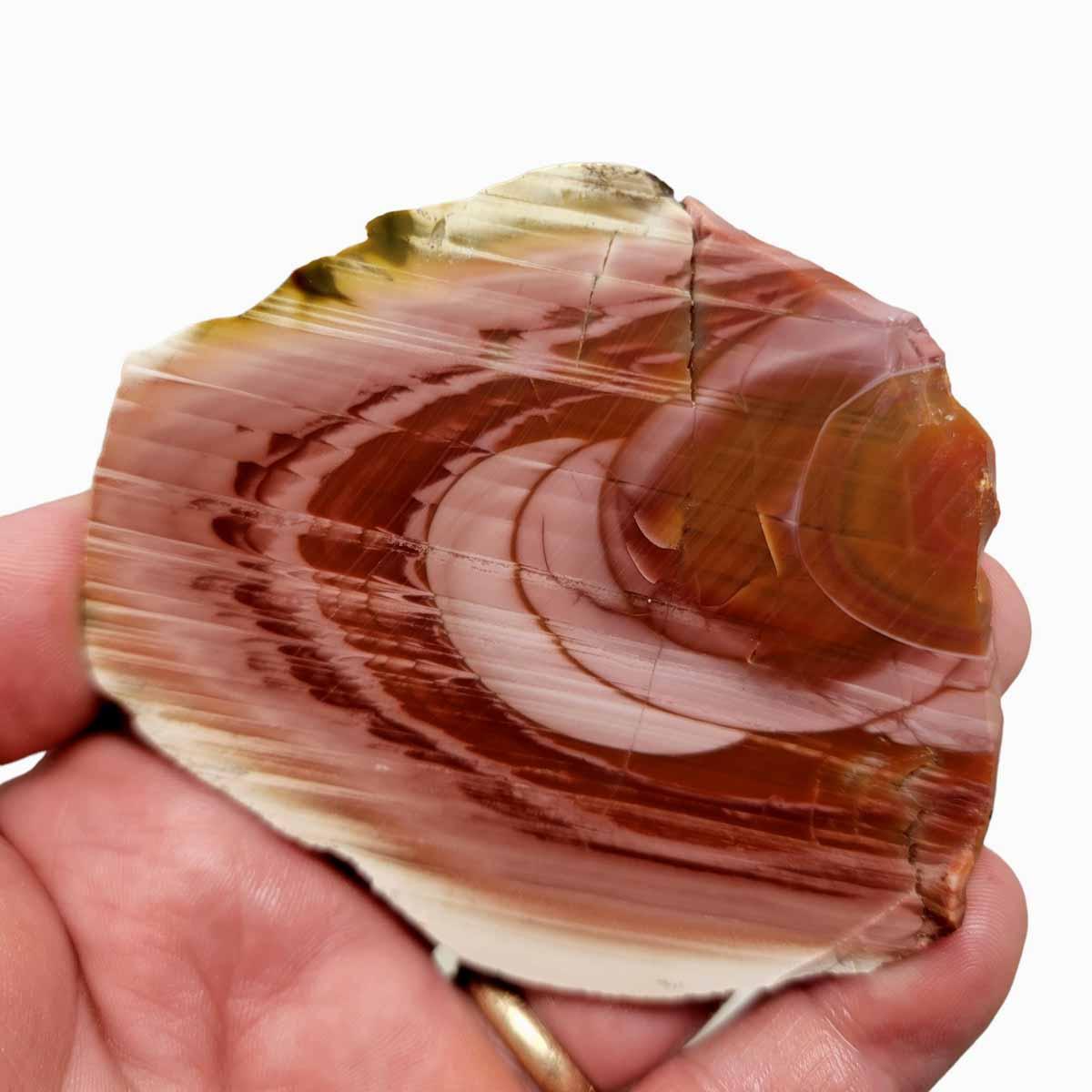 Royal Imperial Jasper Slab!  Lapidary Stone Slab! - LapidaryCentral