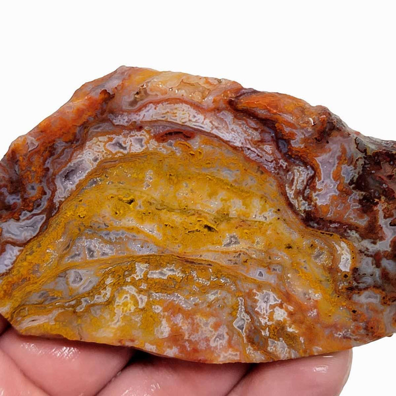 San Carlos Agate Slab! Lapidary Stone Slab! - Lapidary Central