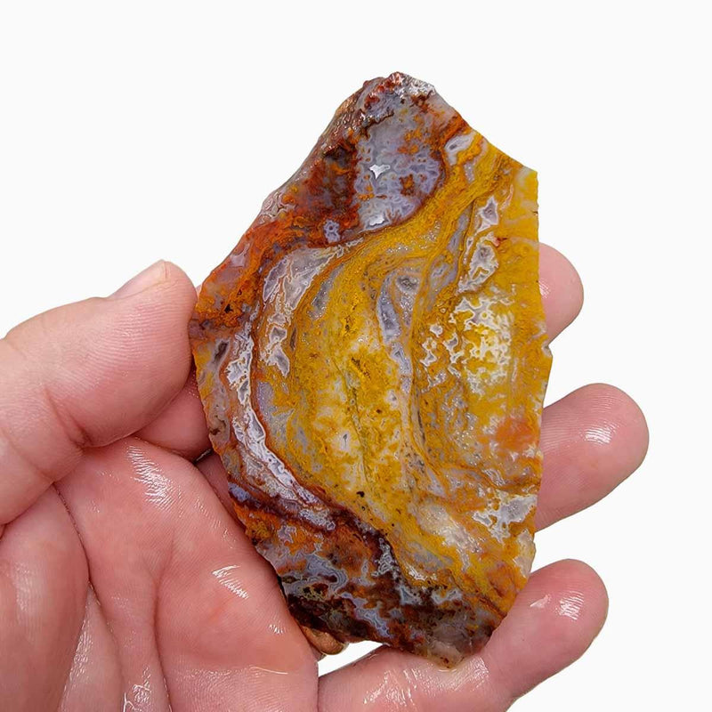 San Carlos Agate Slab! Lapidary Stone Slab! - Lapidary Central
