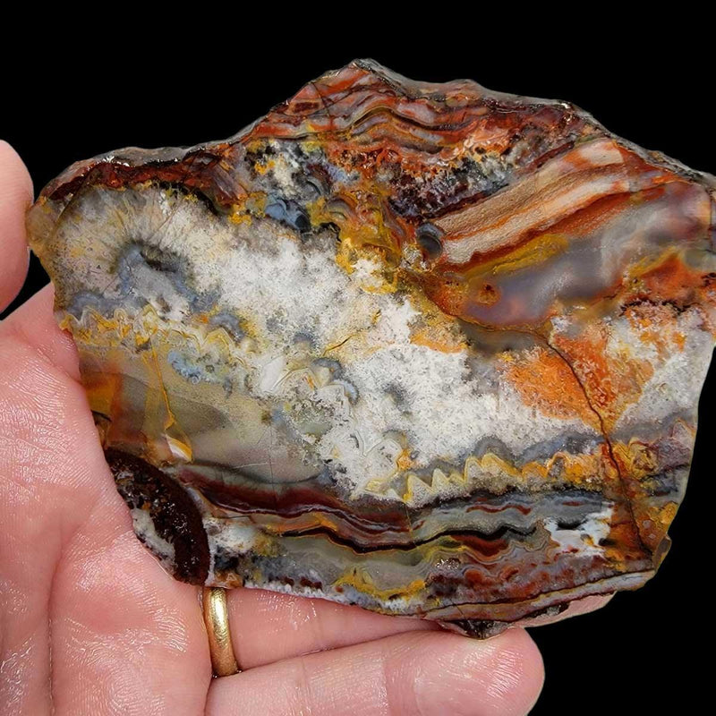 Sarape Jasper Slab!  Lapidary Stone Slab!  Crazy Lace Relative - LapidaryCentral