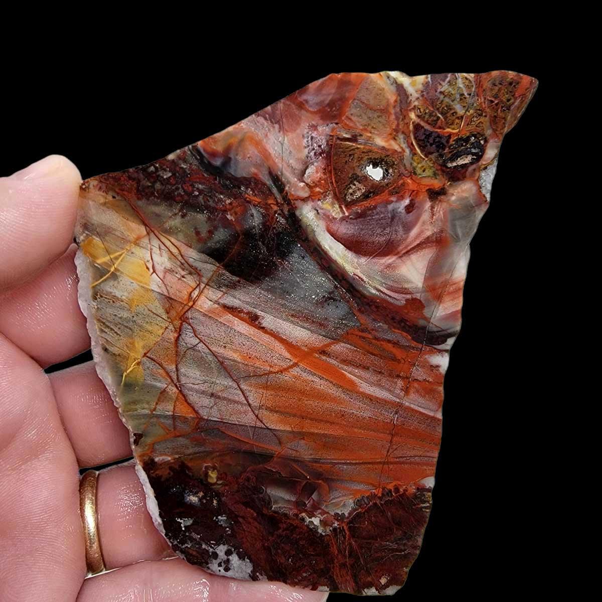 Sarape Jasper Slab!  Lapidary Stone Slab!  Crazy Lace Relative - LapidaryCentral