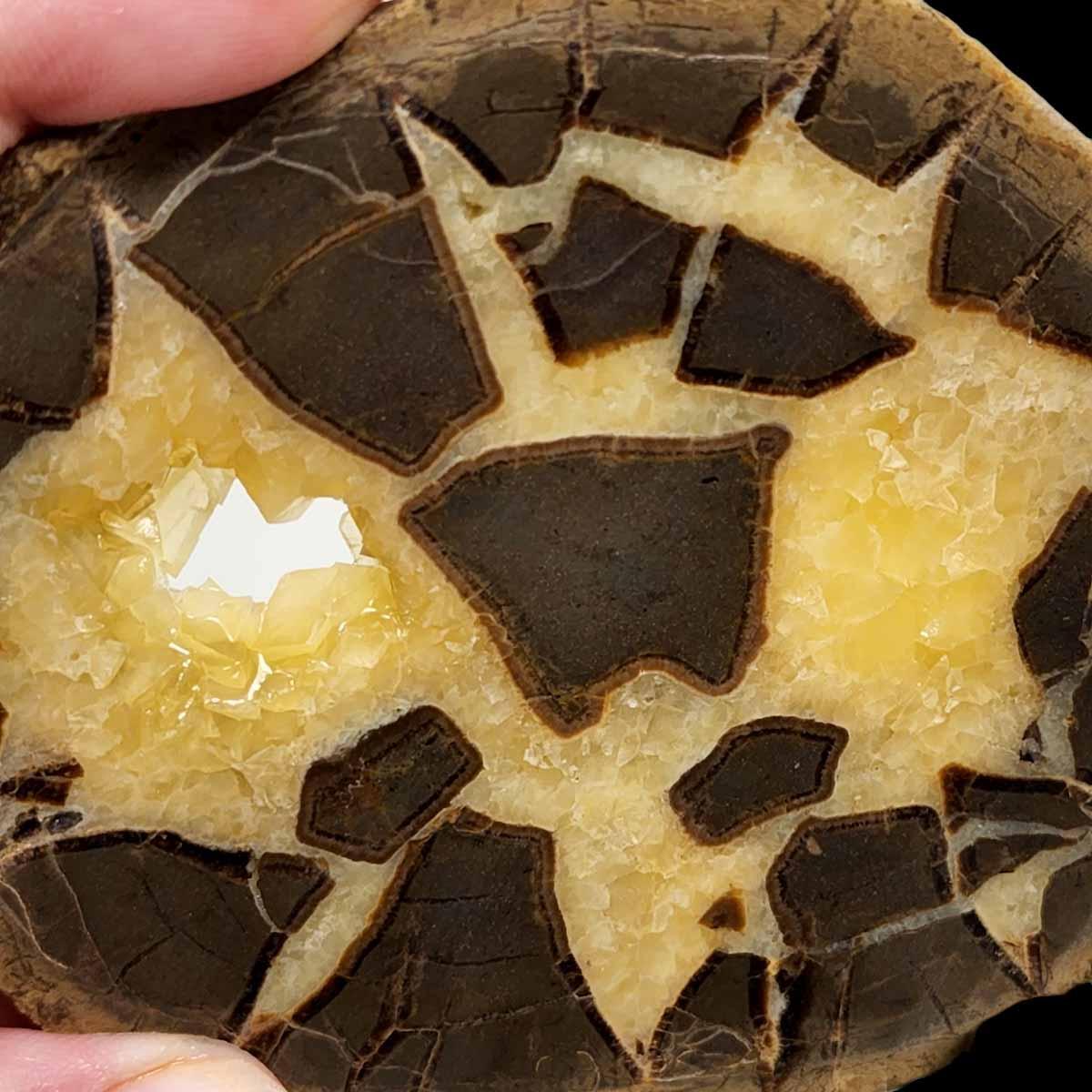 Septarian Nodule Slab!  Lapidary Stone Slab! - LapidaryCentral