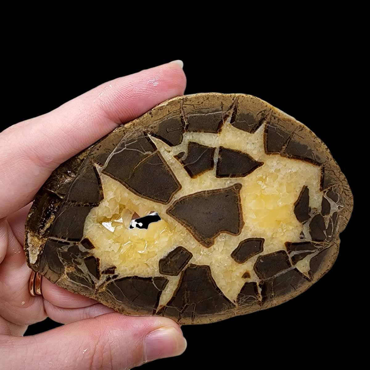 Septarian Nodule Slab!  Lapidary Stone Slab! - LapidaryCentral