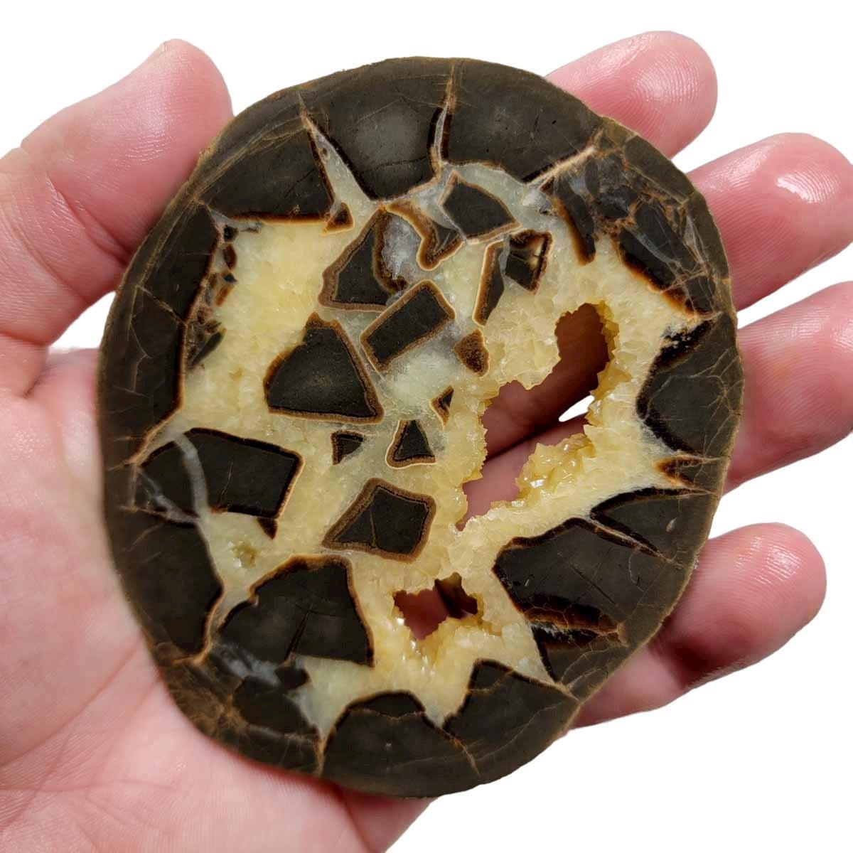 Septarian Nodule Slab!  Lapidary Stone Slab! - LapidaryCentral