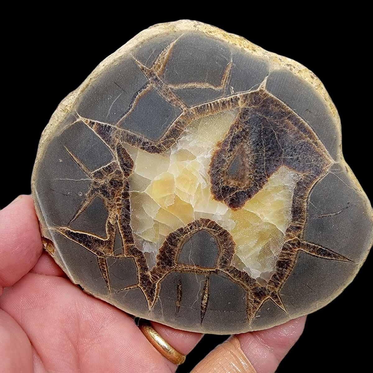 Septarian Nodule Slab!  Lapidary Stone Slab! - LapidaryCentral