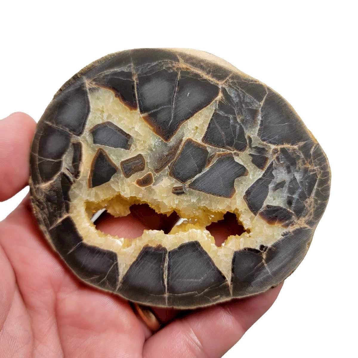 Septarian Nodule Slab!  Lapidary Stone Slab! - LapidaryCentral