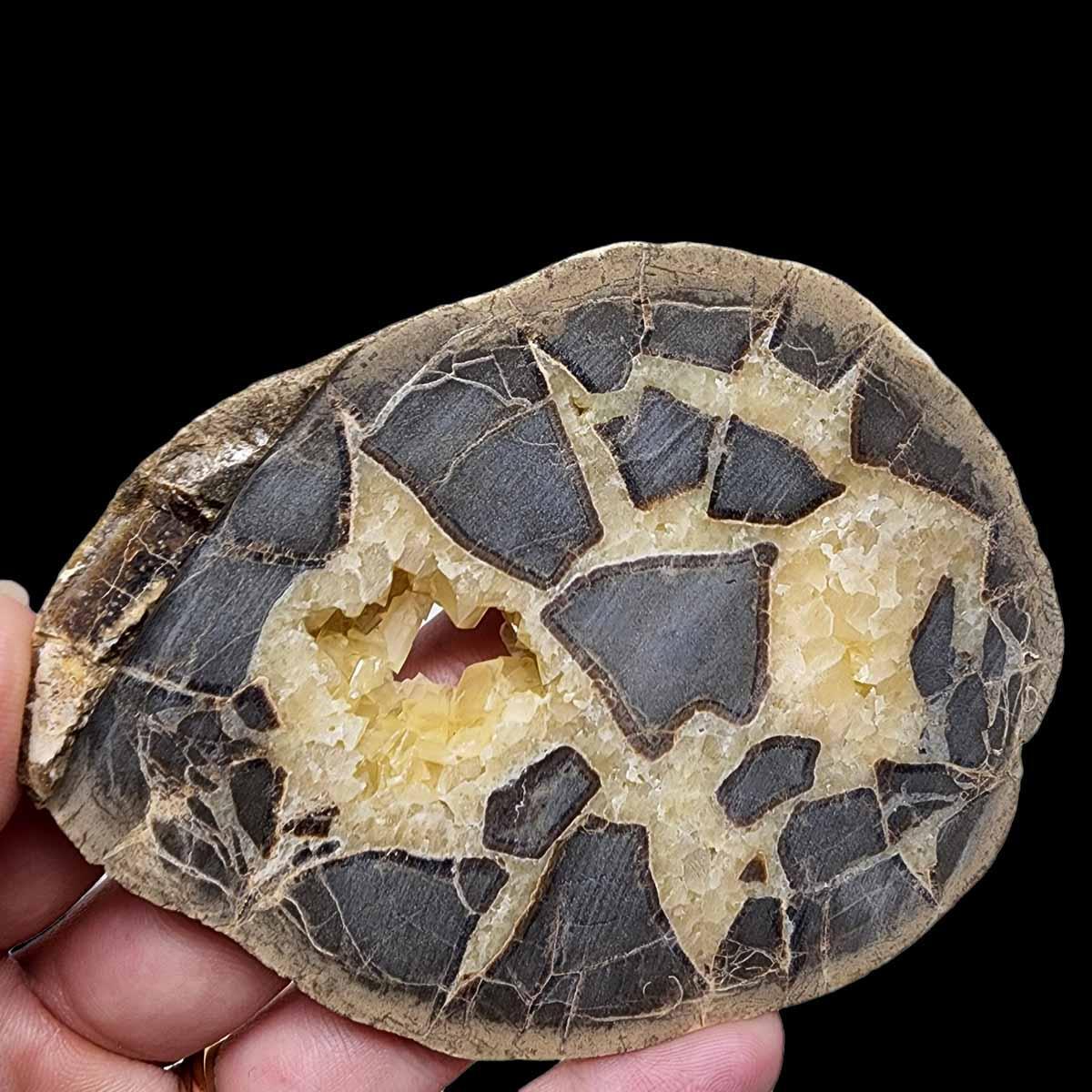 Septarian Nodule Slab!  Lapidary Stone Slab! - LapidaryCentral