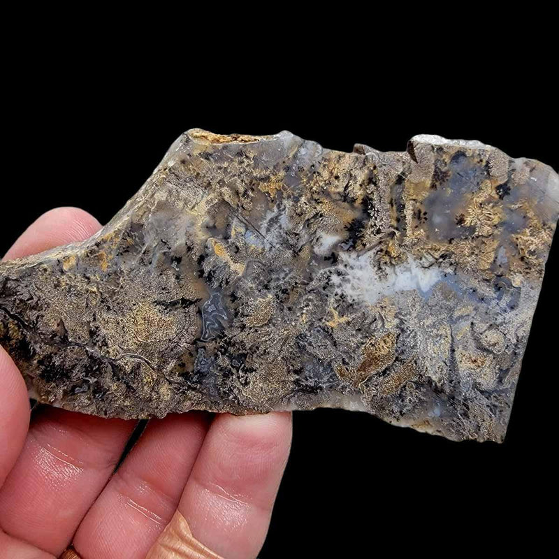 Sheep Creek Plume Agate Slab!  Lapidary Stone Slab! - LapidaryCentral
