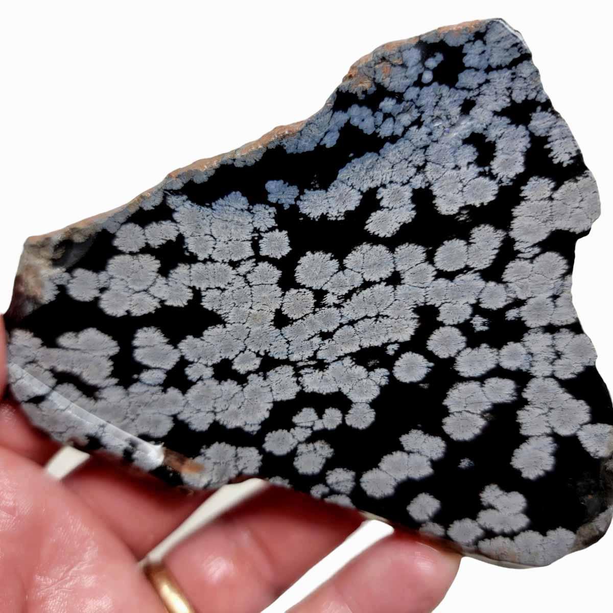 Snowflake Obsidian Slab!  Lapidary Stone Slab! - LapidaryCentral