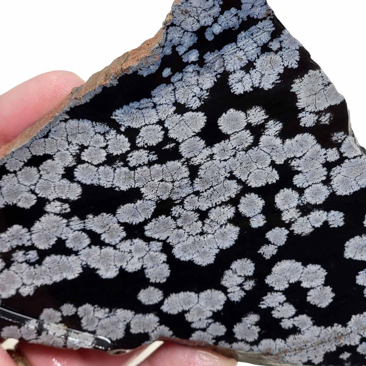 Snowflake Obsidian Slab!  Lapidary Stone Slab! - LapidaryCentral