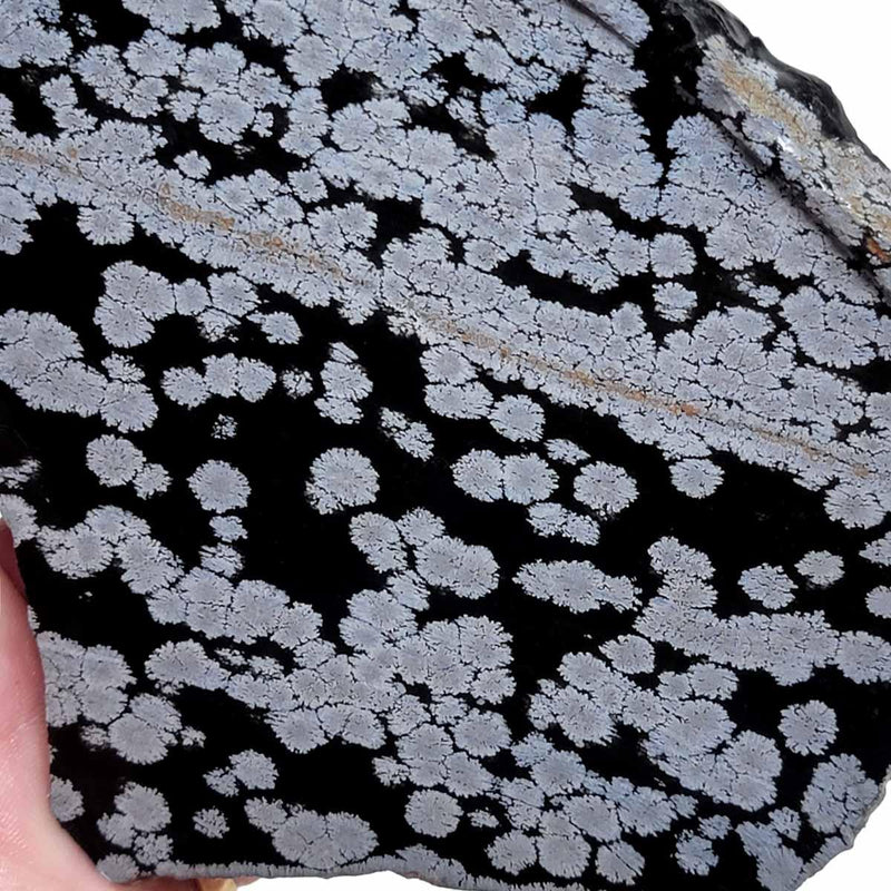 Snowflake Obsidian Slab!  Lapidary Stone Slab! - LapidaryCentral