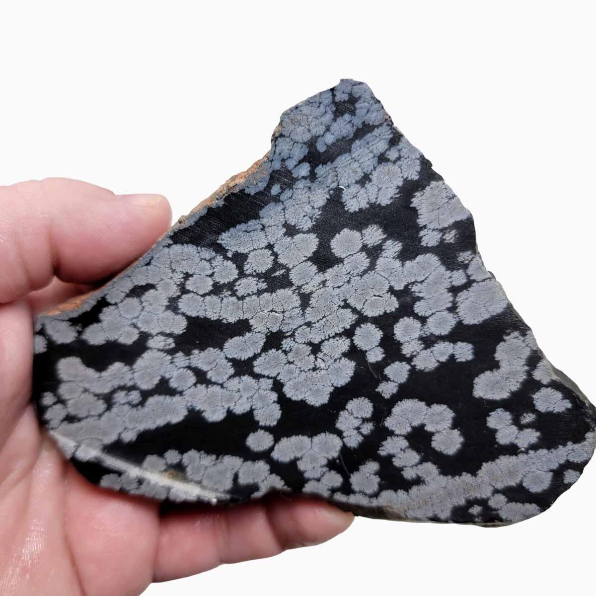 Snowflake Obsidian Slab!  Lapidary Stone Slab! - LapidaryCentral