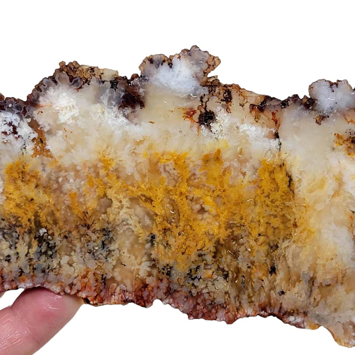 Stinking Water Plume Agate Slab! Lapidary Stone Slab! - Lapidary Central