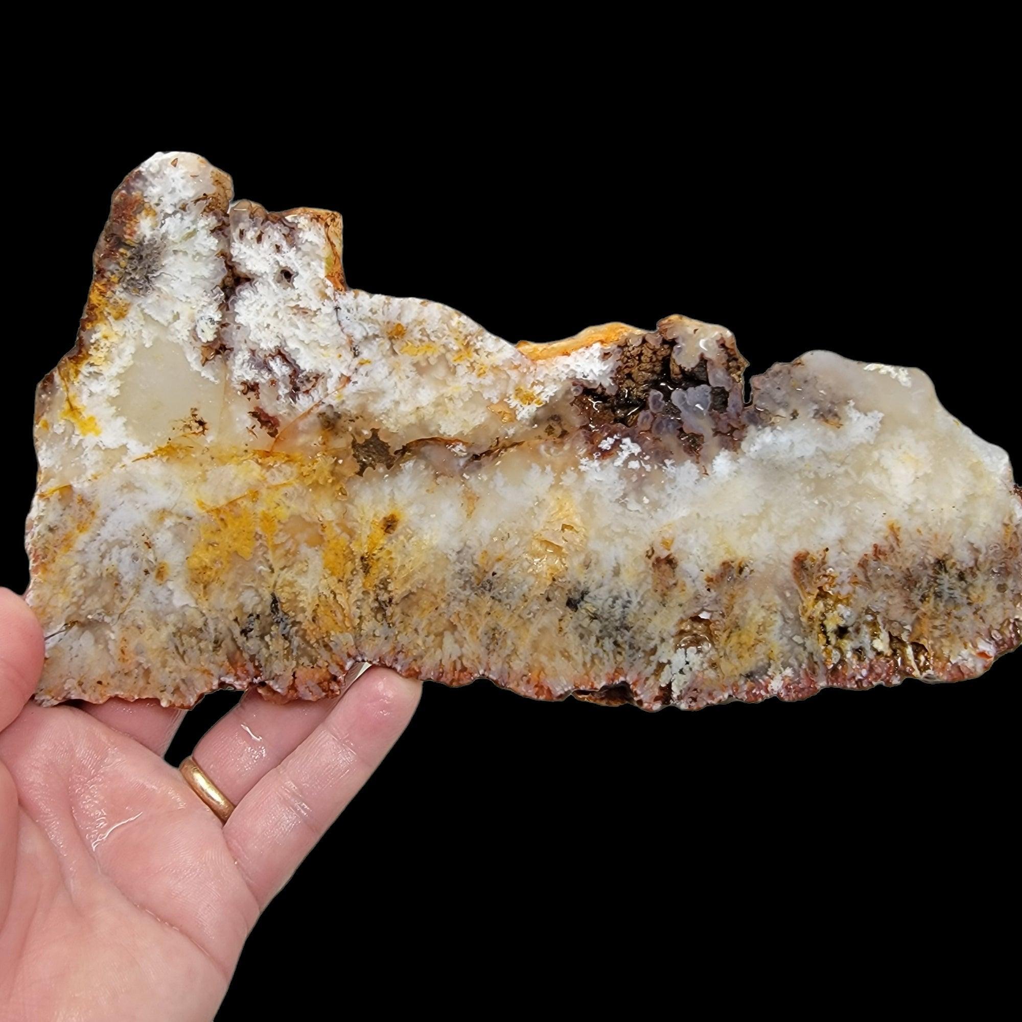 HUGE Stinking Water Plume Agate Slab!  Lapidary Stone Slab! - LapidaryCentral