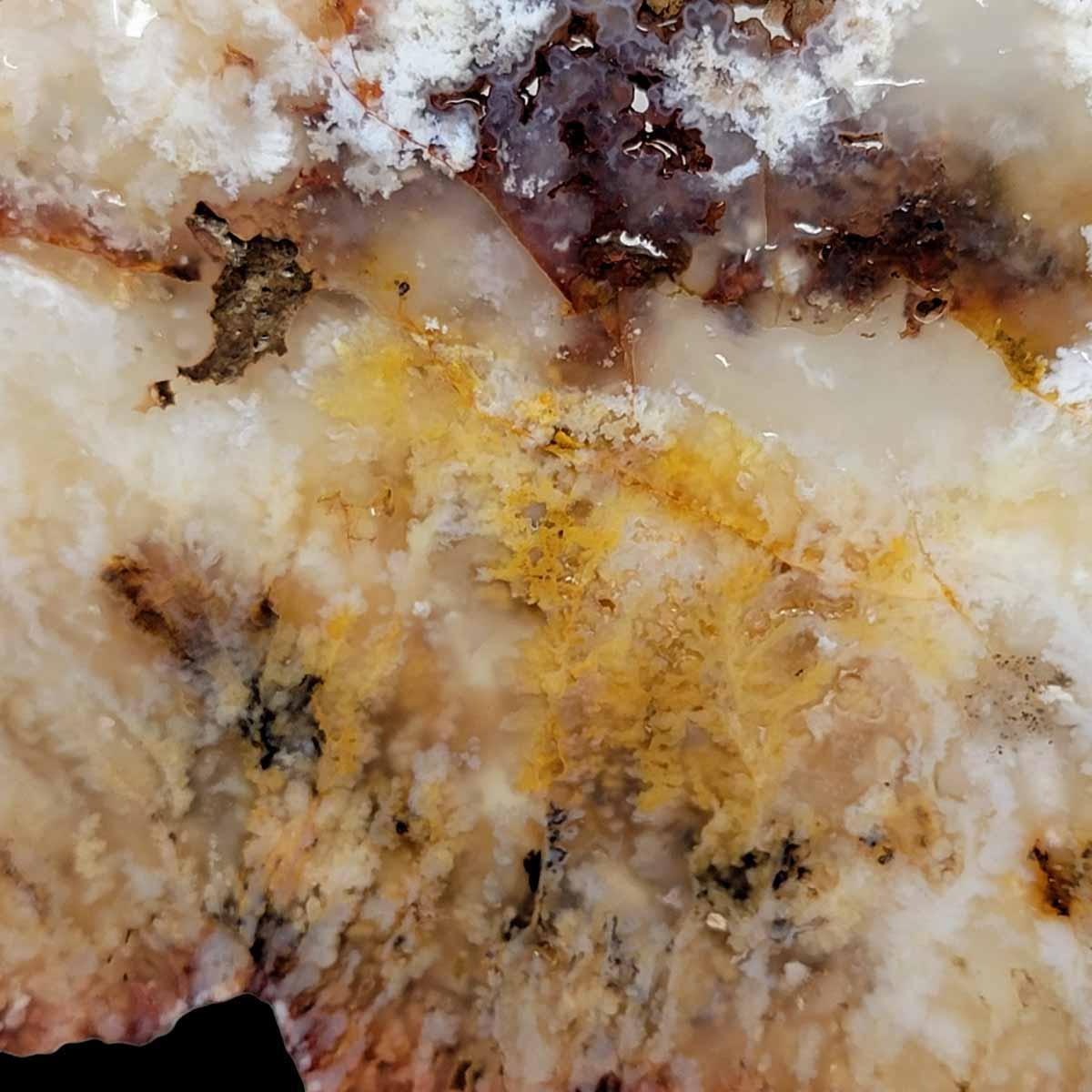 HUGE Stinking Water Plume Agate Slab!  Lapidary Stone Slab! - LapidaryCentral