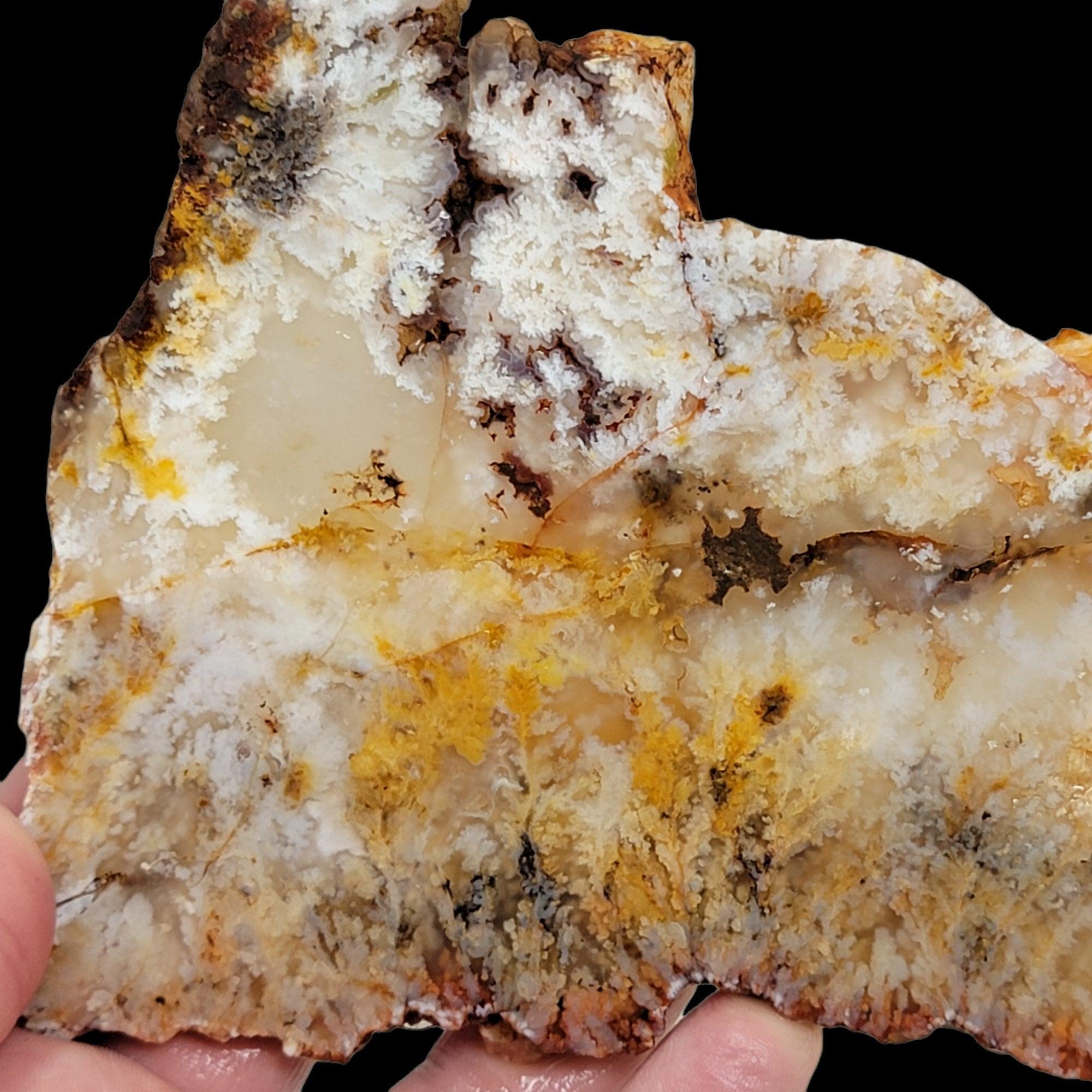 HUGE Stinking Water Plume Agate Slab!  Lapidary Stone Slab! - LapidaryCentral