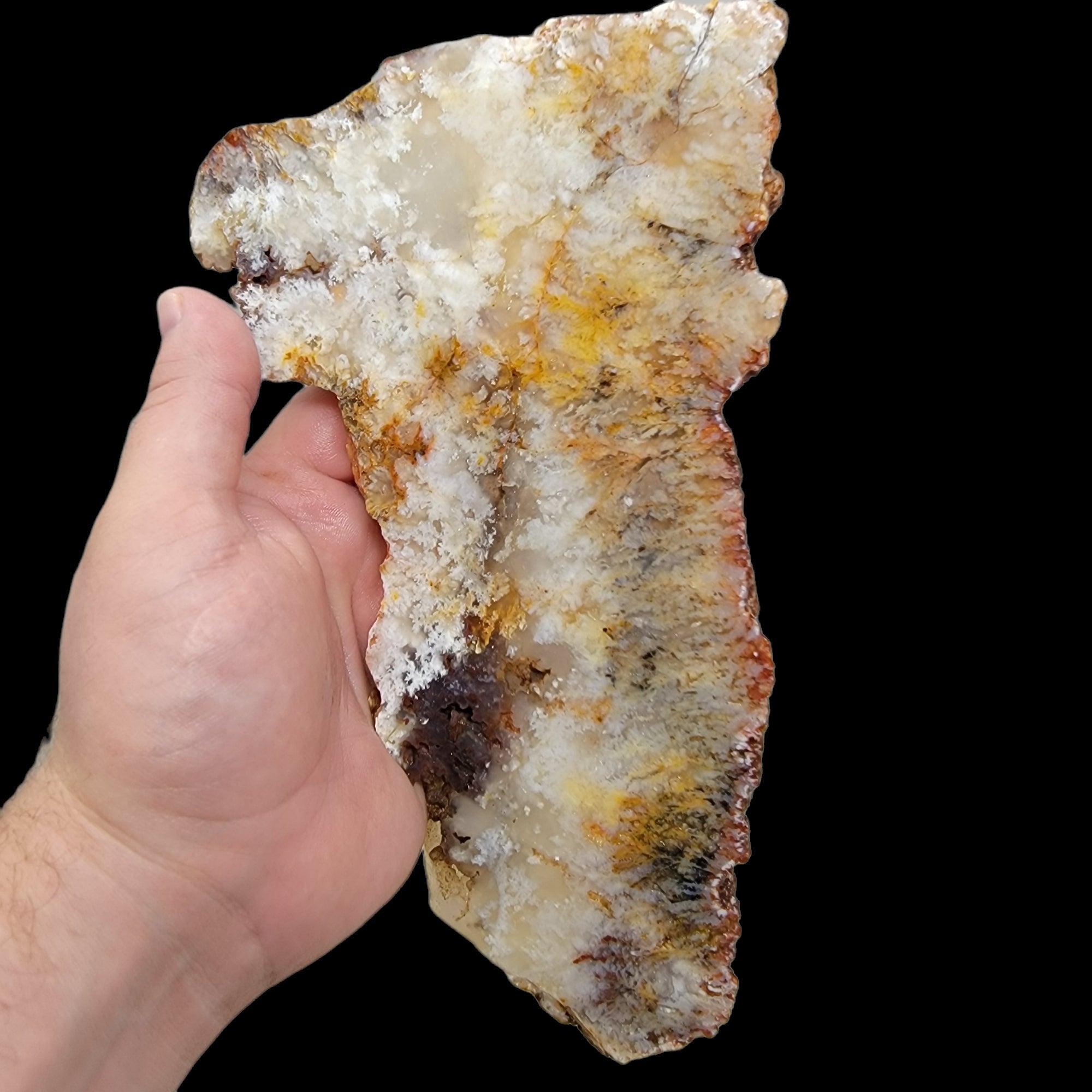 HUGE Stinking Water Plume Agate Slab!  Lapidary Stone Slab! - LapidaryCentral