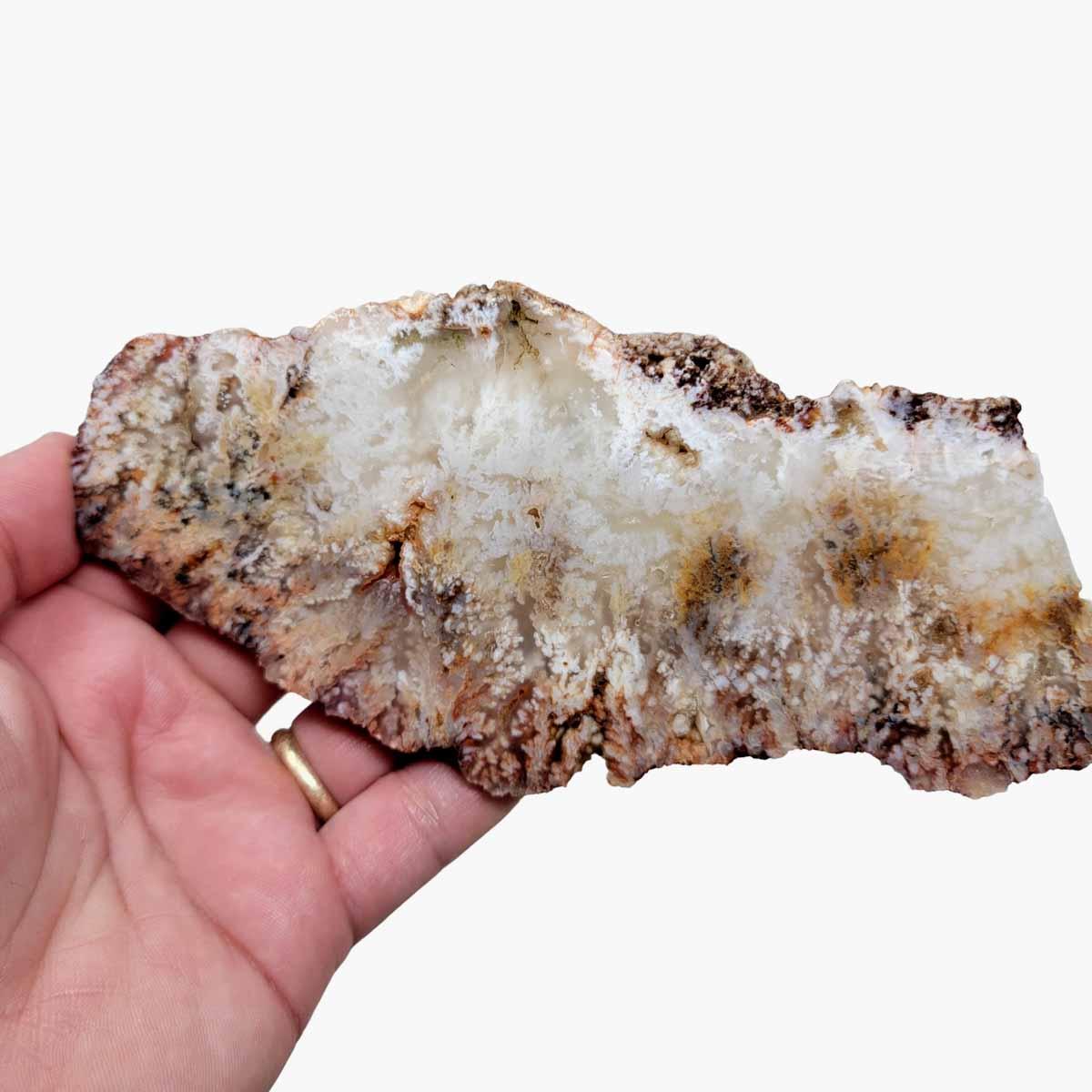 Stinking Water Plume Agate Slab!  Lapidary Stone Slab! - LapidaryCentral