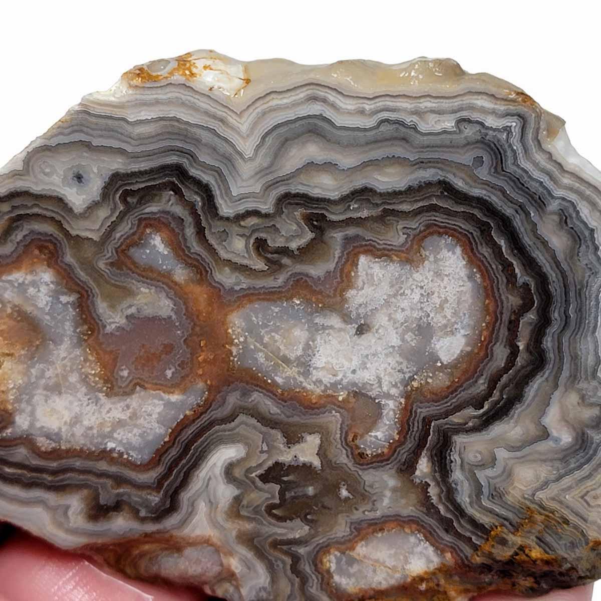 Summerville Lace Agate Slab!  Lapidary Stone Slab! - LapidaryCentral