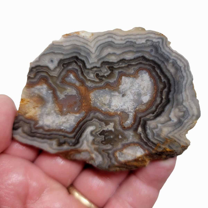 Summerville Lace Agate Slab!  Lapidary Stone Slab! - LapidaryCentral