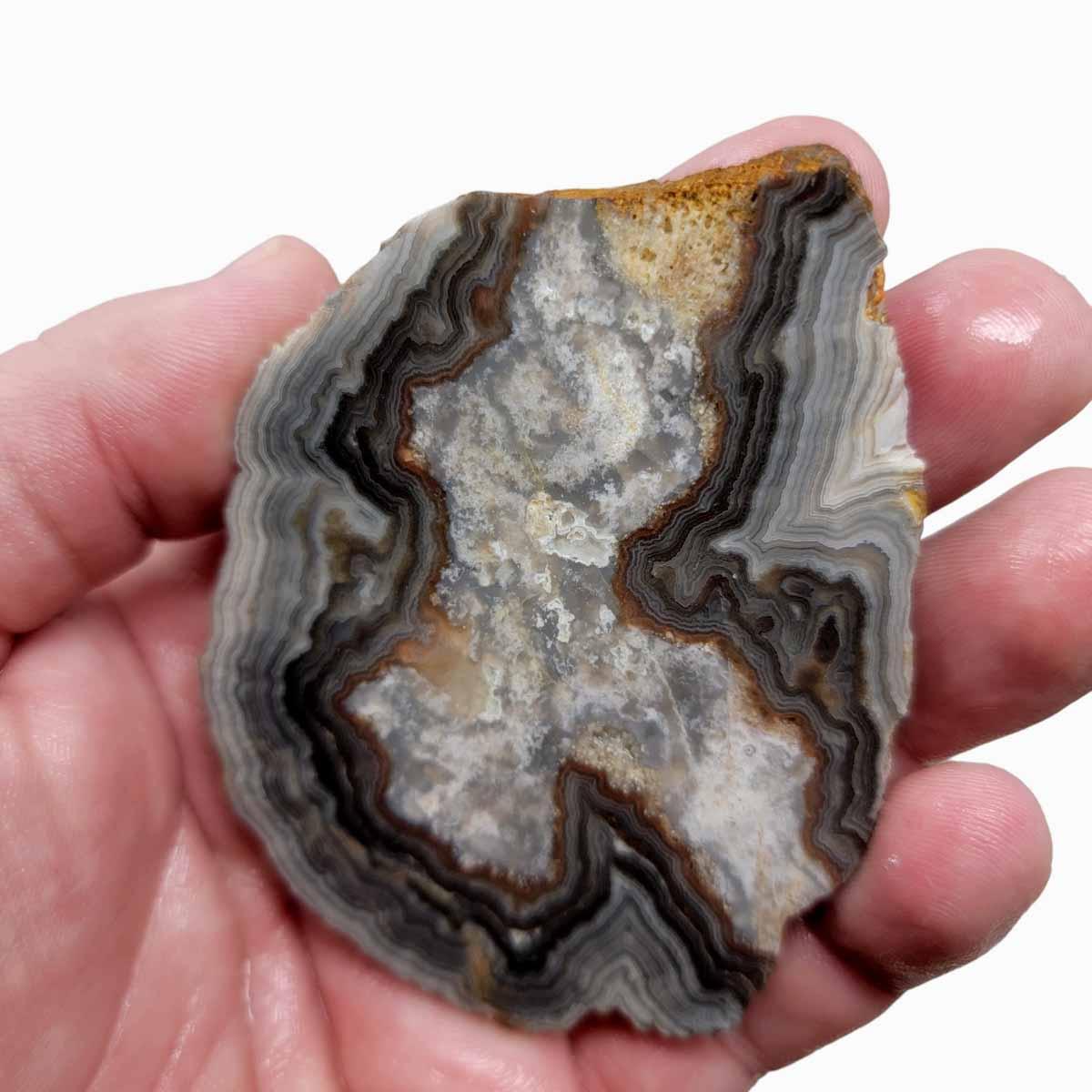 Summerville Lace Agate Slab!  Lapidary Stone Slab! - LapidaryCentral