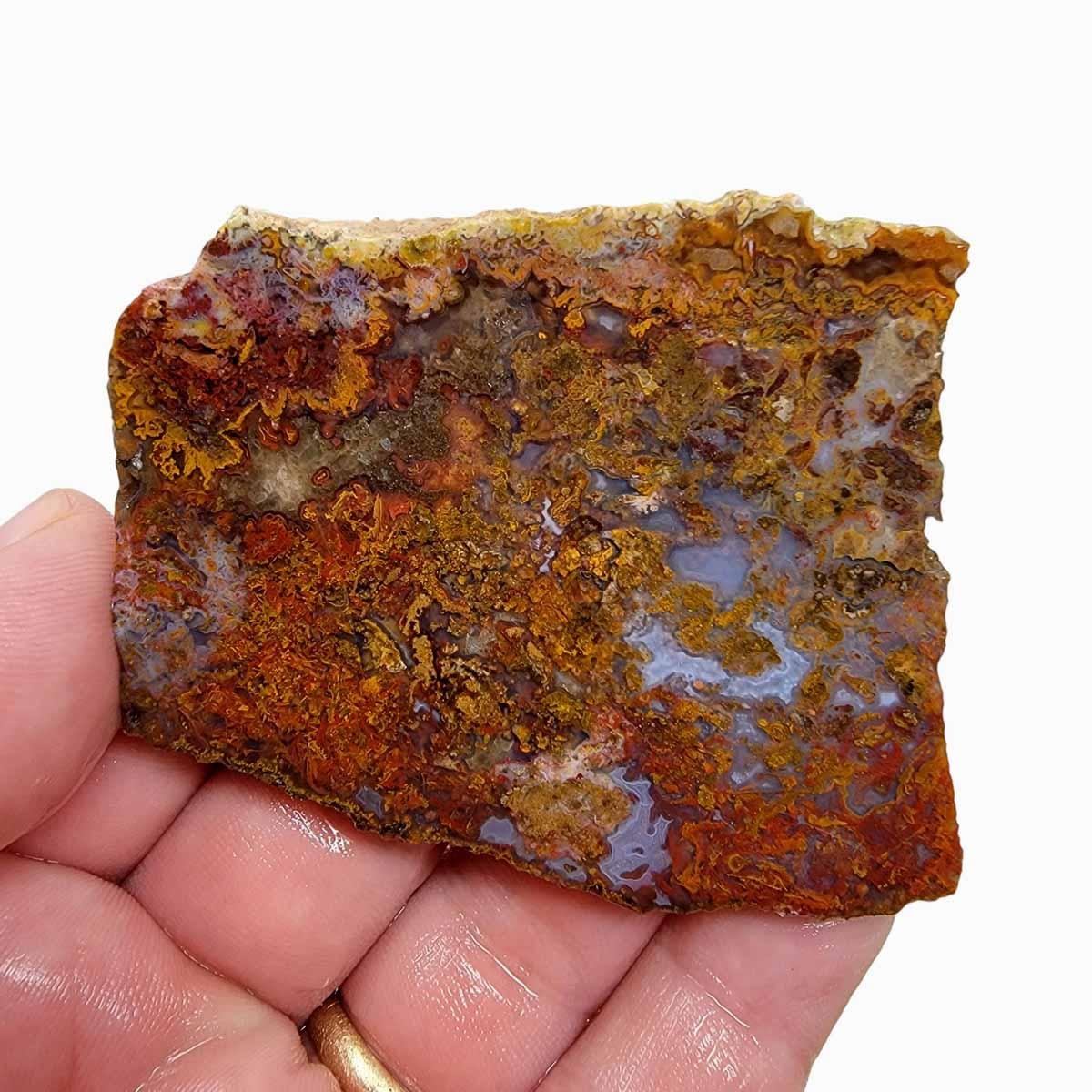 GORGEOUS Mystery Moss Agate Slab! - Lapidary Central