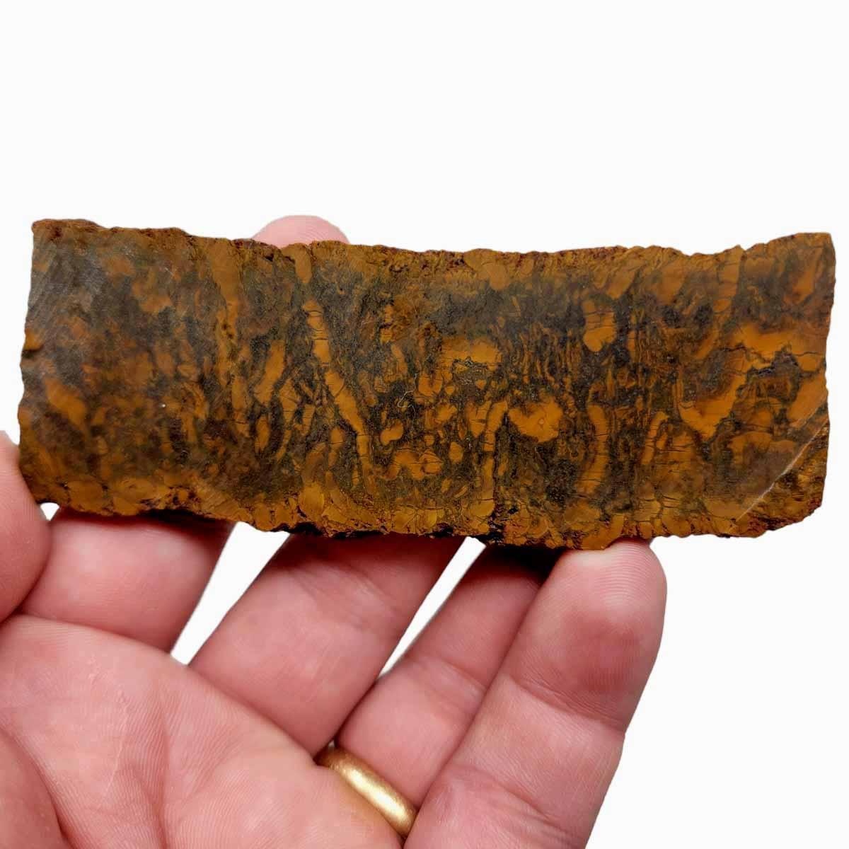 Oregon Ledge Jasper Slab!  Lapidary Stone Slab! - LapidaryCentral