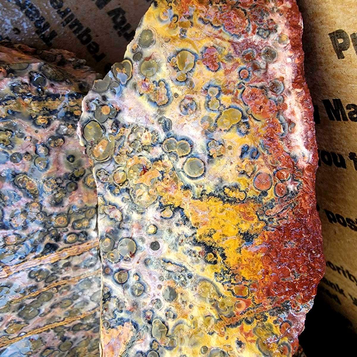 Leopard Skin Rhyolite Orbicular Cutting Rough! - LapidaryCentral